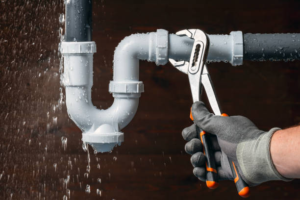 Professional Plumbing technician working in Leesburg, AL